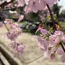 南宁旅游 缩略图 11