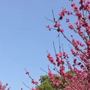 南宁旅游 缩略图 3