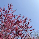 南宁旅游 缩略图 4