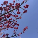 桂林旅游 缩略图 14