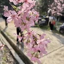 南宁旅游 缩略图 10