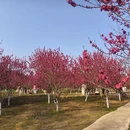 桂林旅游 缩略图 3