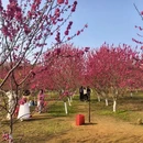 桂林旅游 缩略图 4