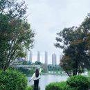 岳阳旅游 缩略图 5