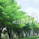 岳阳旅游 缩略图 4