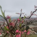 河源旅游 缩略图 1