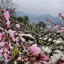 河源旅游 缩略图 2