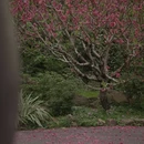 北京旅游 缩略图 6