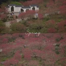 北京旅游 缩略图 1