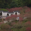 北京旅游 缩略图 2
