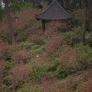 北京旅游 缩略图 4