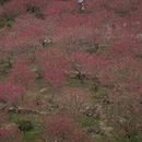 北京旅游 缩略图 3