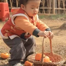 桂林旅游 缩略图 8