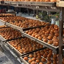 桂林旅游 缩略图 10