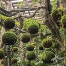 南宁旅游 缩略图 9