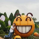 南宁旅游 缩略图 11