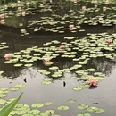 南宁旅游 缩略图 10