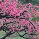 赣州旅游 缩略图 1