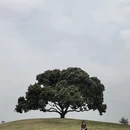南宁旅游 缩略图 15