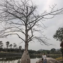 南宁旅游 缩略图 13