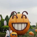 南宁旅游 缩略图 12