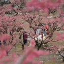 赣州旅游 缩略图 3