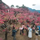 赣州旅游 缩略图 2