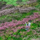 赣州旅游 缩略图 8