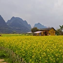 桂林旅游 缩略图 3