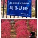桂林旅游 缩略图 1