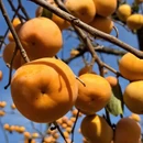 桂林旅游 缩略图 7