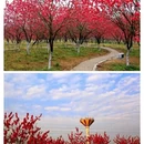 桂林旅游 缩略图 2