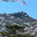 北京旅游 缩略图 4