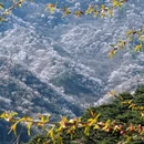 北京旅游 缩略图 3