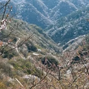 北京旅游 缩略图 6