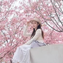 桂林旅游 缩略图 1
