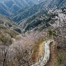 北京旅游 缩略图 8