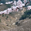 北京旅游 缩略图 10