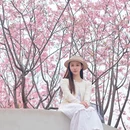 桂林旅游 缩略图 2