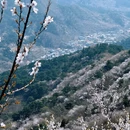 北京旅游 缩略图 2