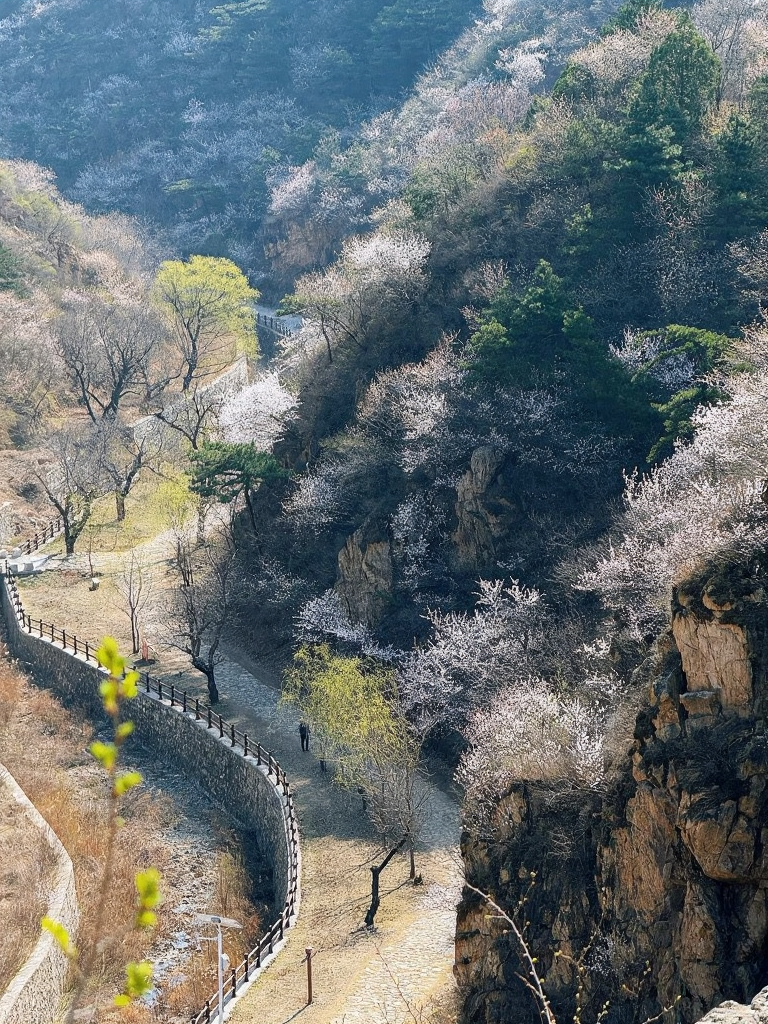 北京旅游