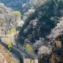 北京旅游 缩略图 1