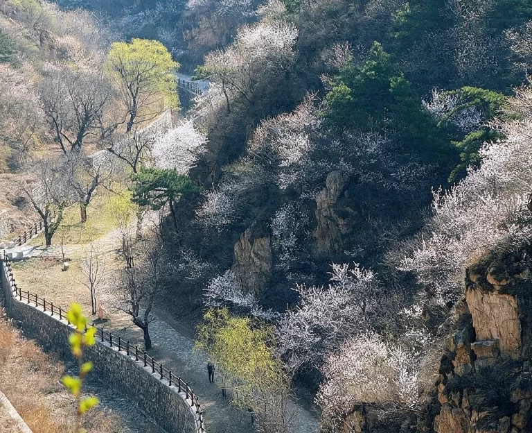 北京旅游 1