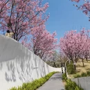 桂林旅游 缩略图 7