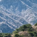北京旅游 缩略图 11