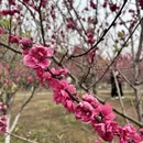 桂林旅游 缩略图 6