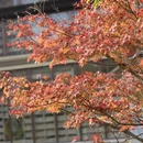 贺州旅游 缩略图 5