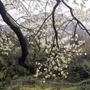 桂林旅游 缩略图 2