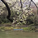 桂林旅游 缩略图 4
