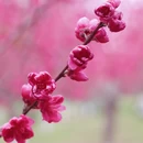 桂林旅游 缩略图 5